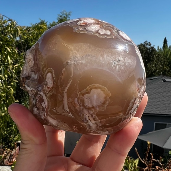 Flower Agate Skull - Sakura Agate - Picture 8 of 11